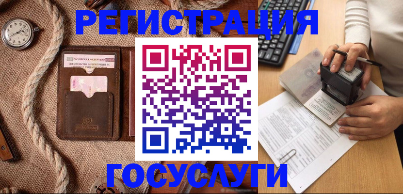 регистрация для трудоустройства в Новозыбкове